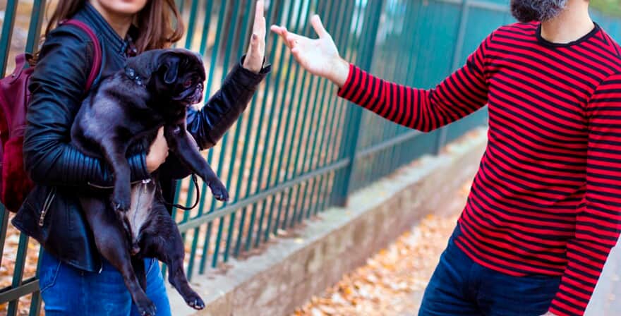 STJ aprecia Recurso Especial