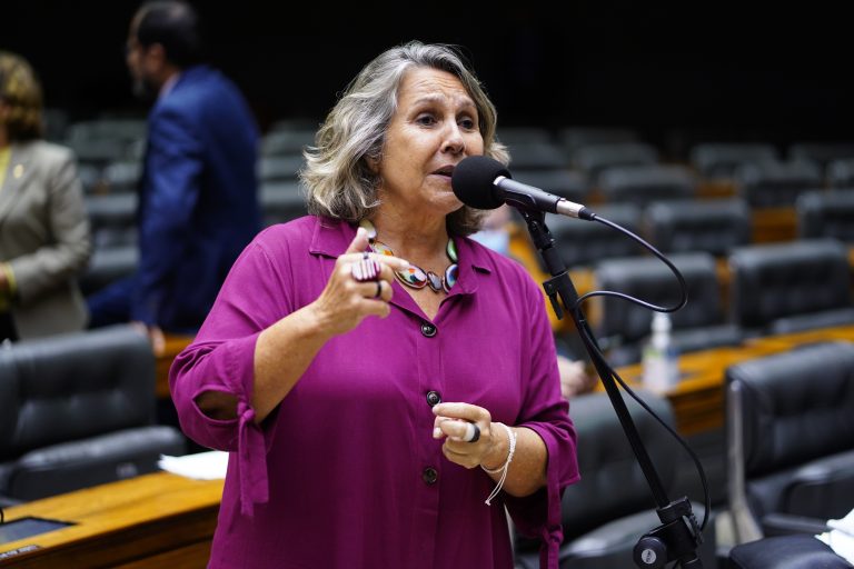 Câmara dos Deputados aprova videoconferência